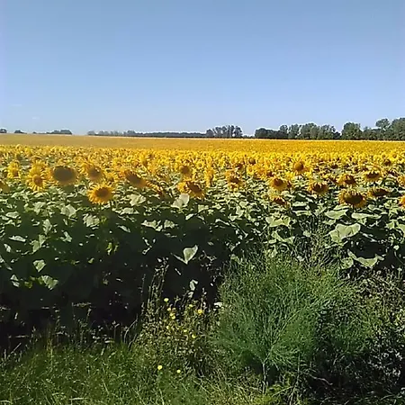 Villeneuve *